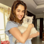 disha patani