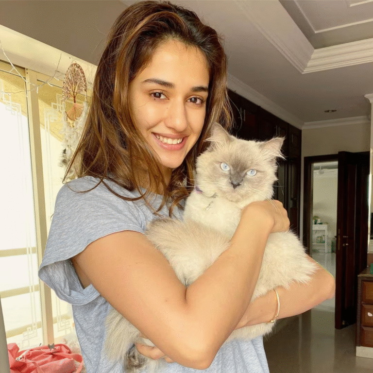disha patani